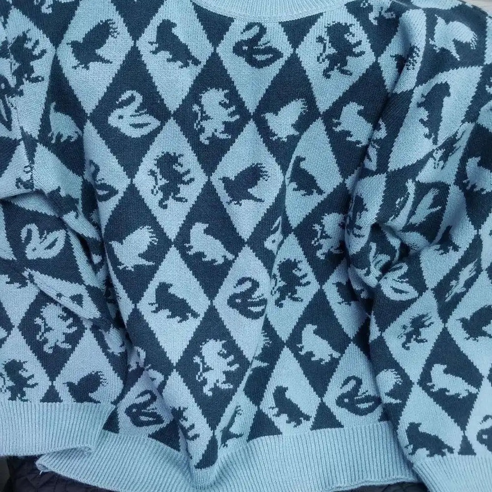 ISO BLUE Argyle Harry Potter Sweater!!